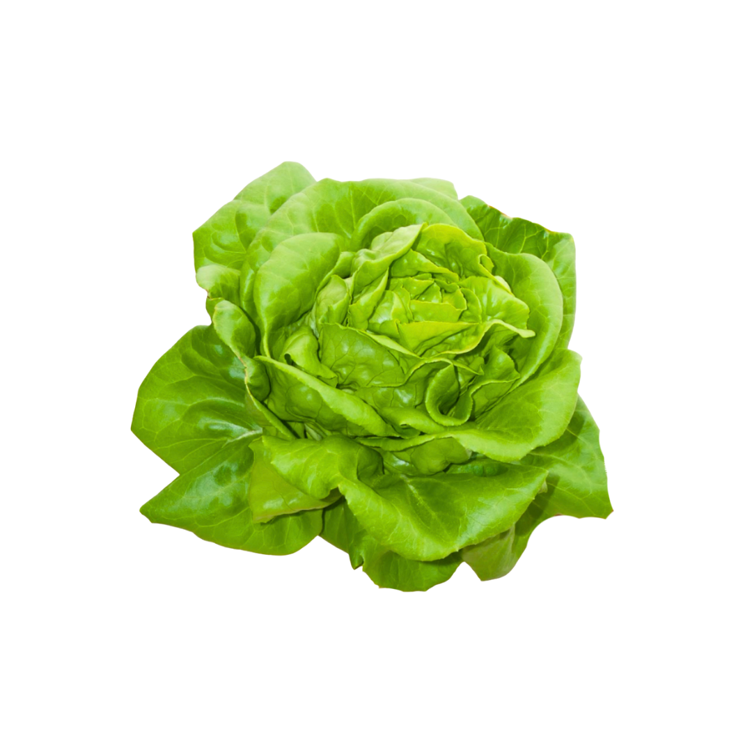 More Veggies Please Butterhead Lettuce 180g More Veggies Please Butterhead Lettuce 180g